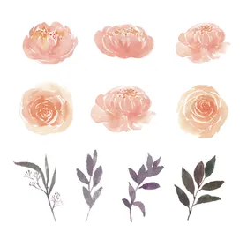 手绘花卉