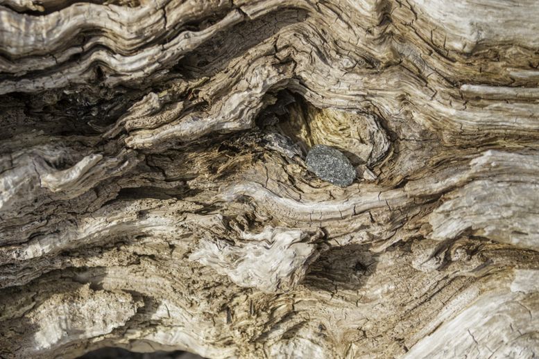 编号：59378705190416587022【酷图网】源文件下载-木板