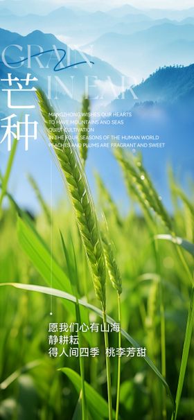 芒种节气海报二十四麦穗绿色风景