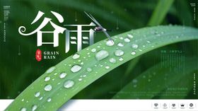 谷雨素材