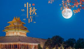芒种古风传统气节海报展板