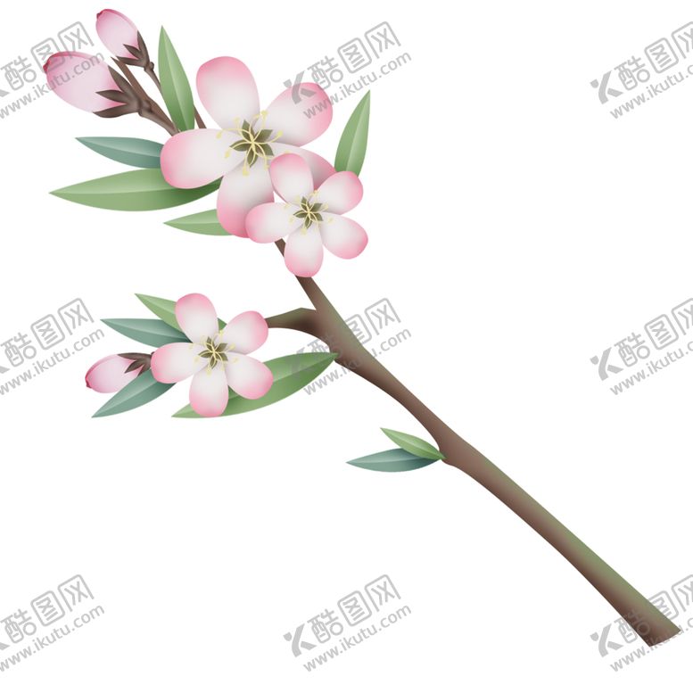 编号：65736101140119567900【酷图网】源文件下载-鲜花海棠植物花朵大自然春季