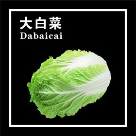 高山大白菜推广图