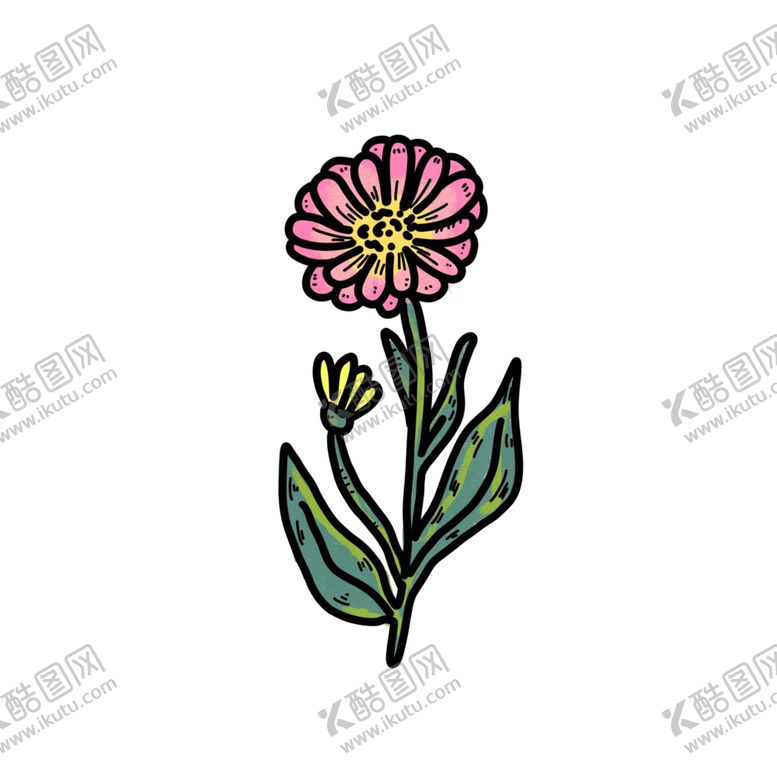 编号：56154802021923182647【酷图网】源文件下载-金盏花