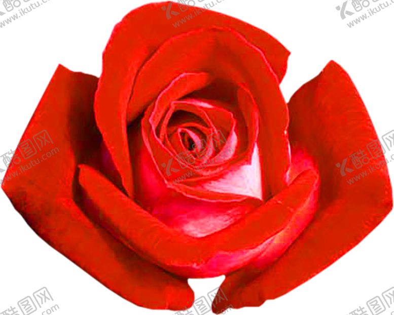 编号：39761009272203229424【酷图网】源文件下载-浪漫素材