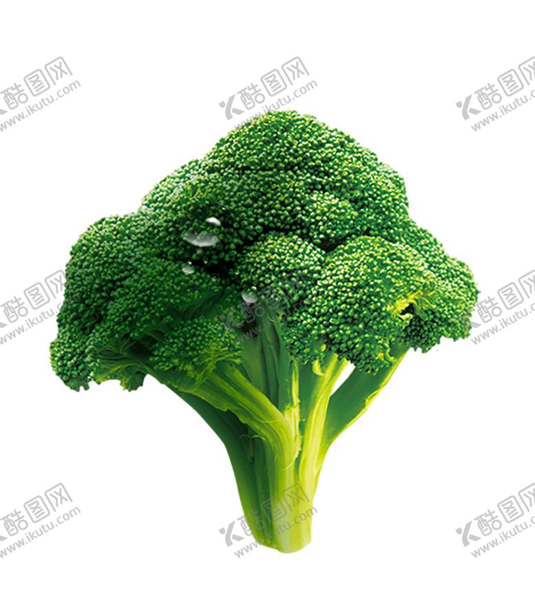 编号：81575905090258125389【酷图网】源文件下载-花菜