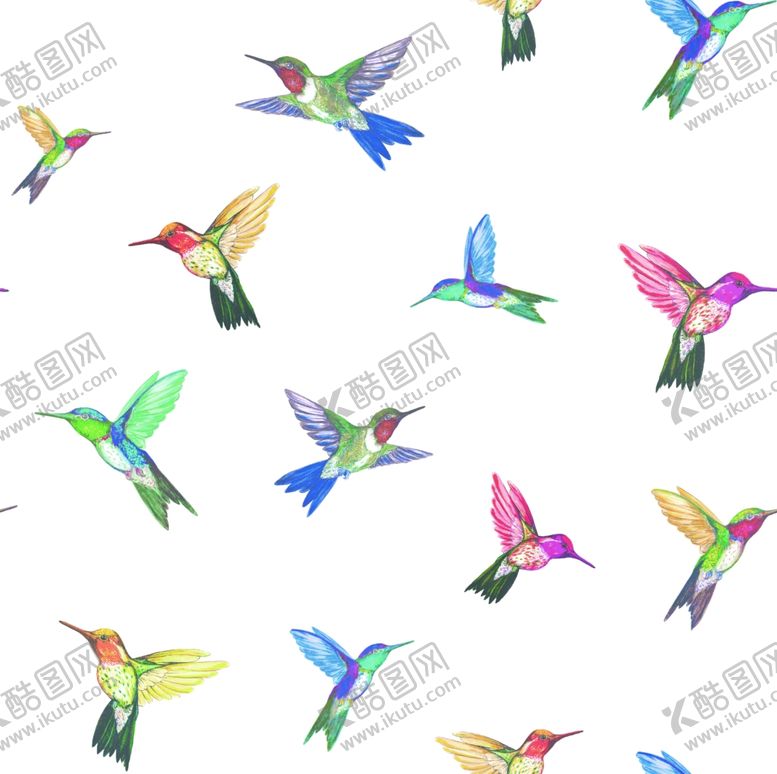 编号：83596709170456239512【酷图网】源文件下载-彩色鸟