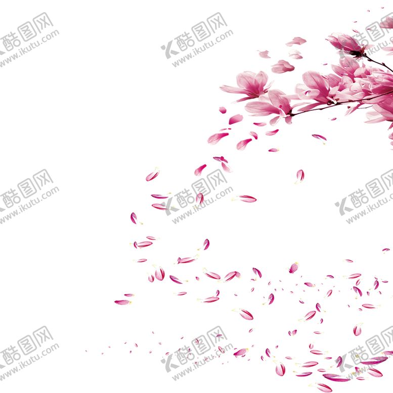 编号：66633609231558483003【酷图网】源文件下载-手绘植物花卉