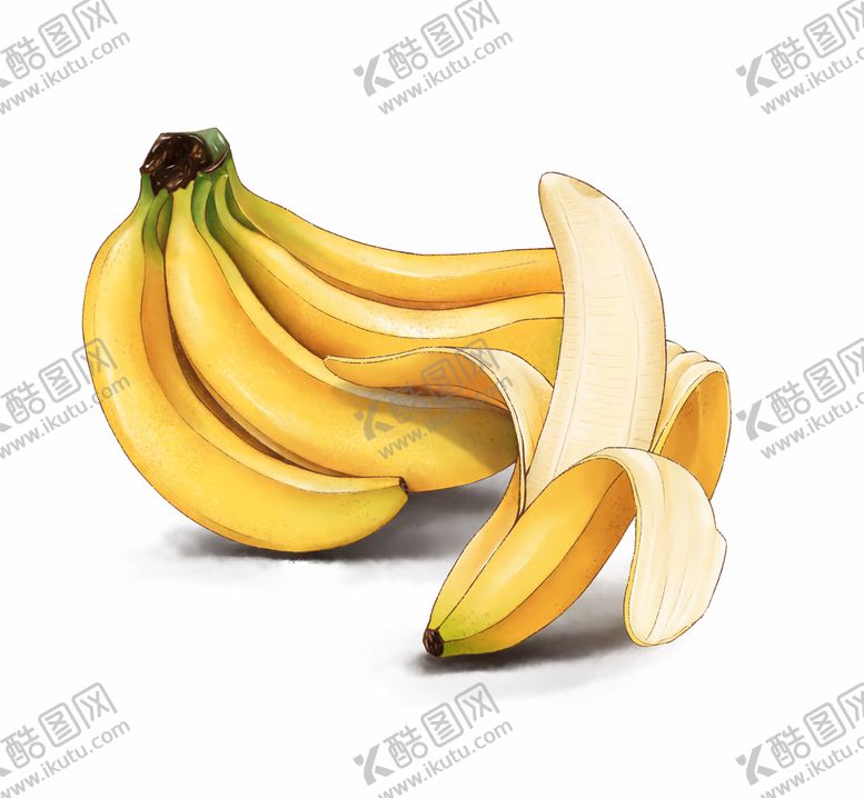 编号：70498609131039042710【酷图网】源文件下载-手绘香蕉