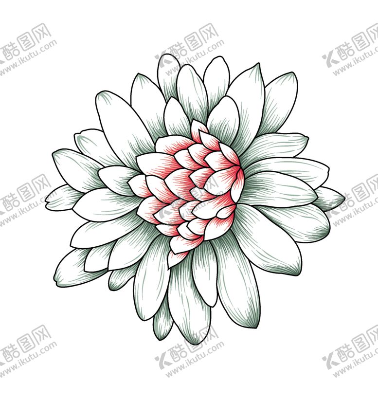 编号：12470105110746415197【酷图网】源文件下载-手绘花卉