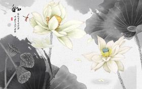 荷花
