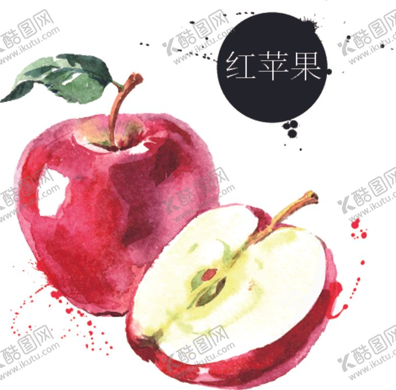 编号：90836210051428509578【酷图网】源文件下载-手绘红苹果插画彩绘水果矢量素材