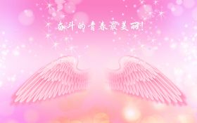 梦想的翅膀