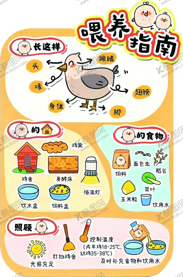 编号：34475506190609396478【酷图网】源文件下载-小鸡喂养指南