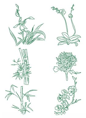 梅兰竹菊植物线稿