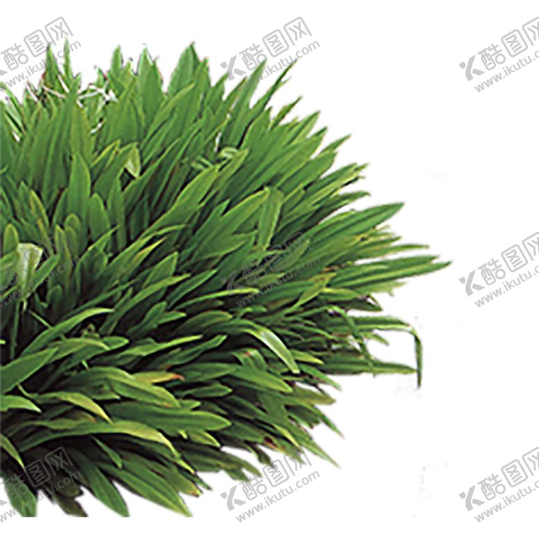 编号：11008407070853207587【酷图网】源文件下载-绿色植物