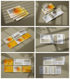 册子折页宣传册样机