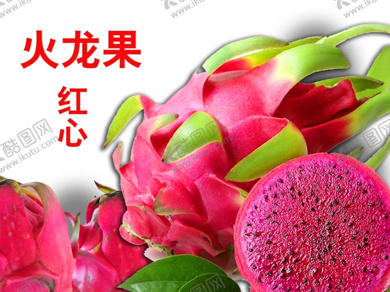 编号：74899409271246217958【酷图网】源文件下载-火龙果