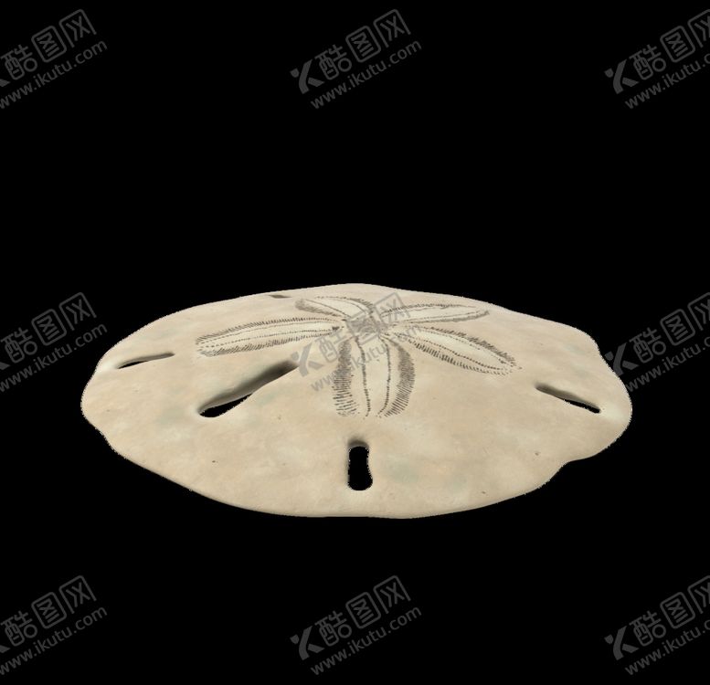 编号：67869406281149002911【酷图网】源文件下载-海洋生物