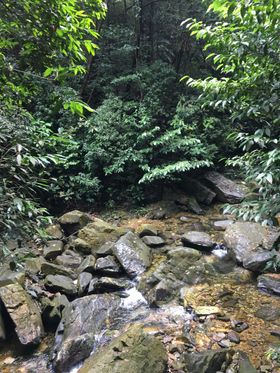 鼎湖山大鼎矢量图