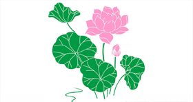 荷花莲花