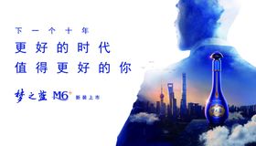 洋河时代经典