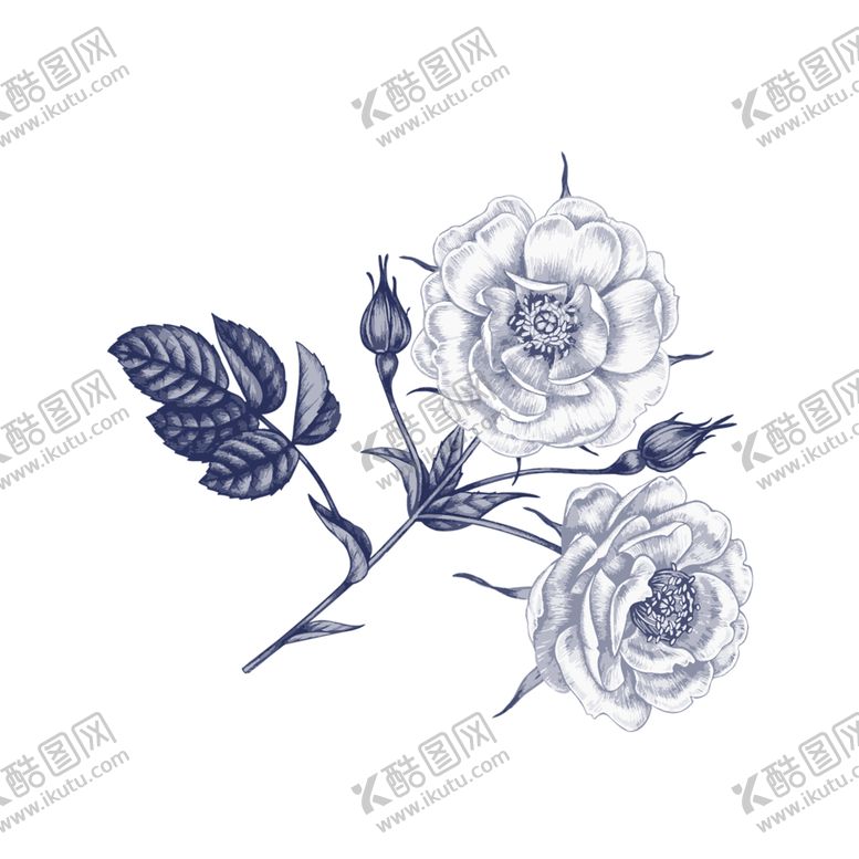 编号：82621309240357034274【酷图网】源文件下载-鲜花素材