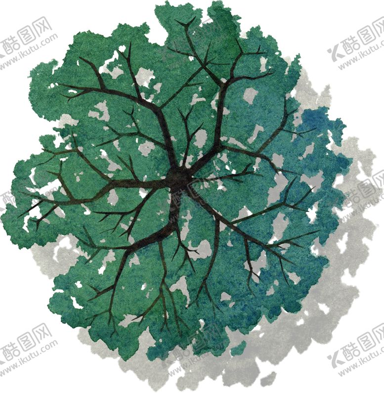 编号：58191009282018462369【酷图网】源文件下载-手绘植物