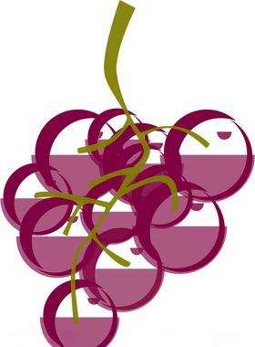 葡萄插图