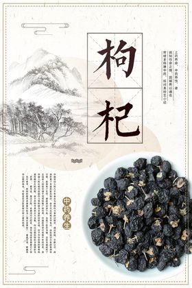 中国风中药文化中药养生展板