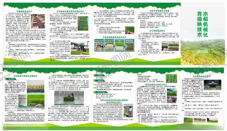 编号：31347105242137135509【酷图网】源文件下载-水稻种植折页