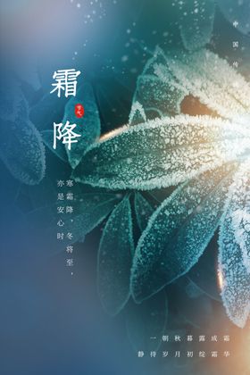 霜降海报素材活动宣传