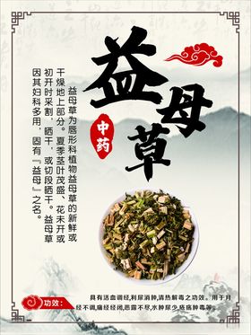 益母草中药版面功效介绍