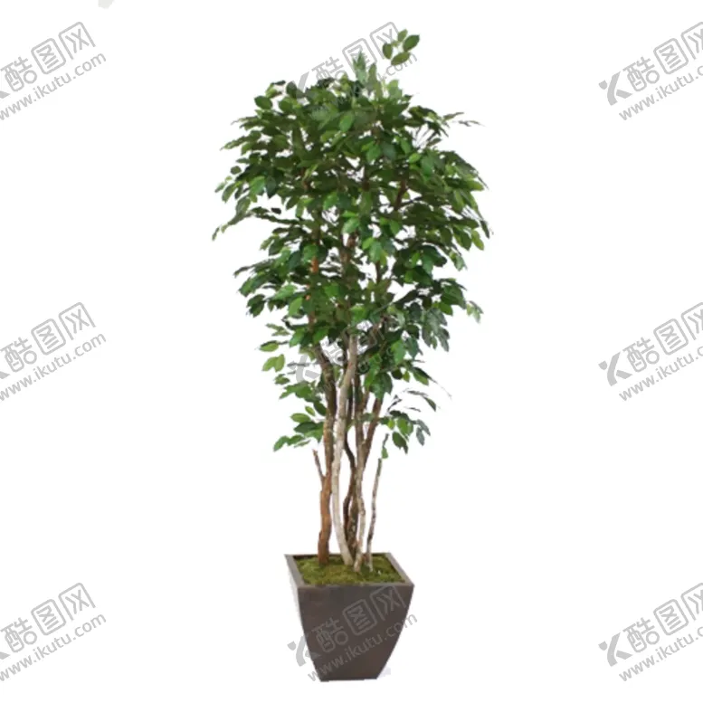 编号：77627006302143146313【酷图网】源文件下载-免抠背景花草树木