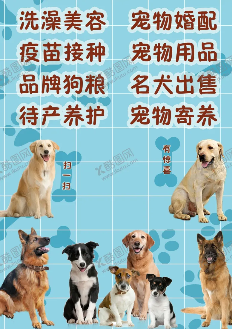 编号：15336504161945355382【酷图网】源文件下载-宠物海报