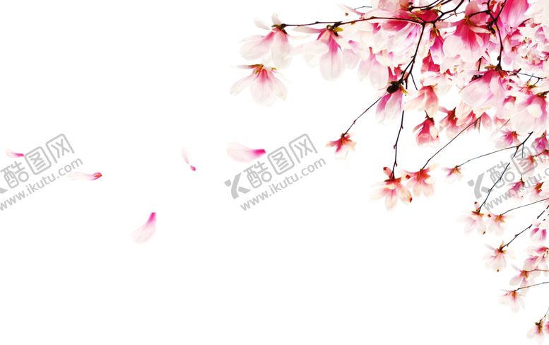 编号：81548909261825133780【酷图网】源文件下载-浪漫素材