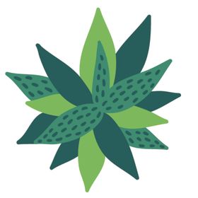 小清新绿色仙人掌
