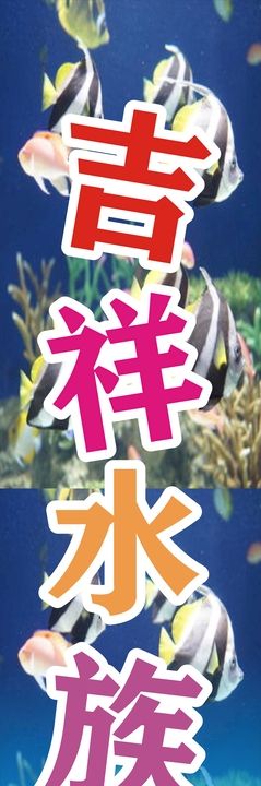 水族用品黑色海报banner