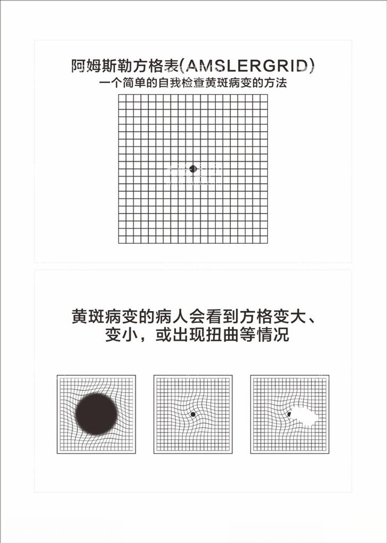 编号：37530001270958146811【酷图网】源文件下载-阿姆斯勒方格表