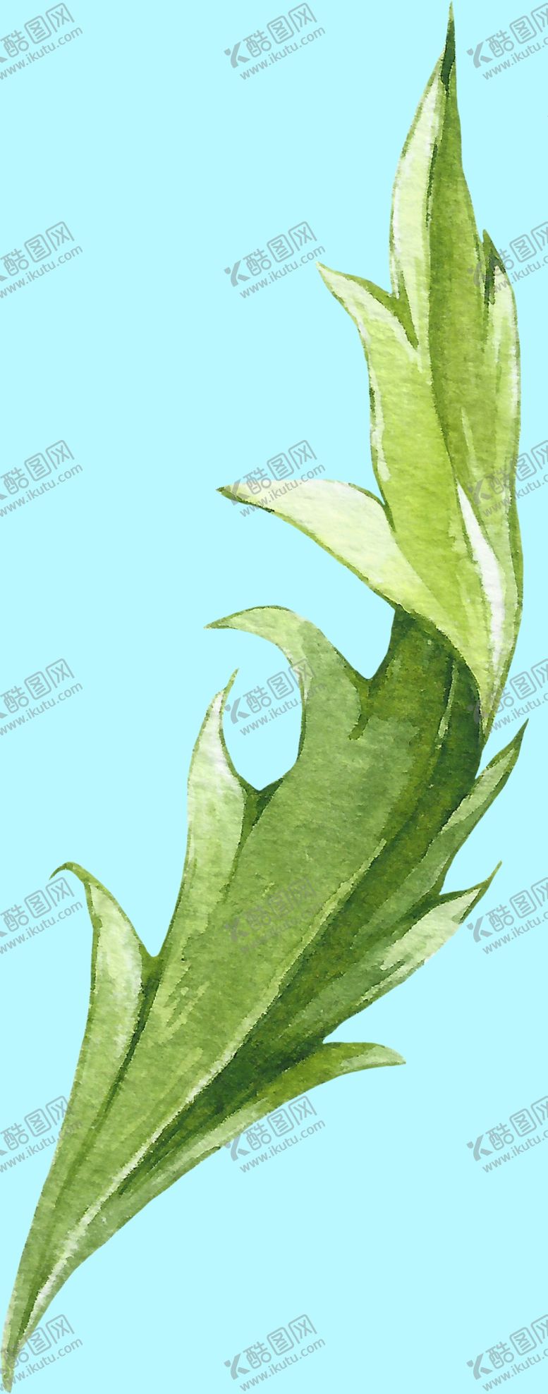 编号：96981909300651108387【酷图网】源文件下载-花卉树叶