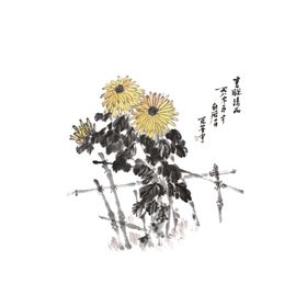 菊花装饰