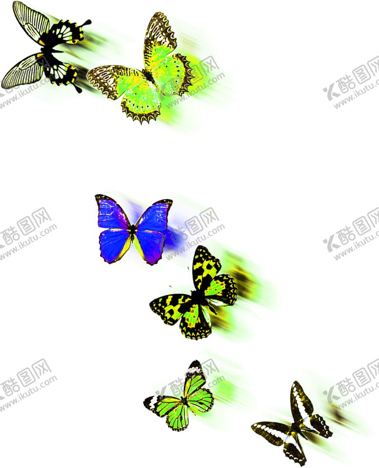 编号：49840807130451403399【酷图网】源文件下载-花素材