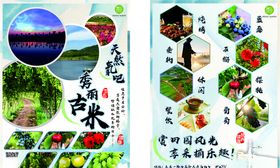 宣传单dm海报户外