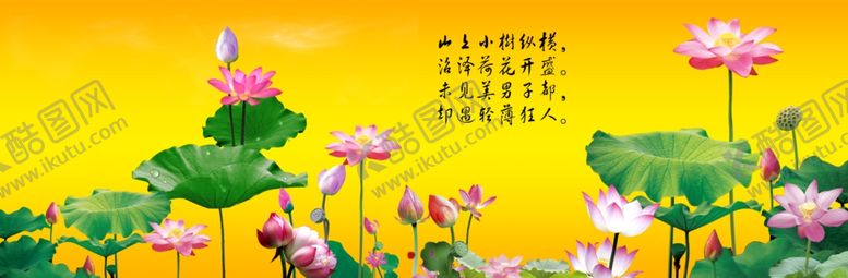 编号：41594507011712289014【酷图网】源文件下载-荷花