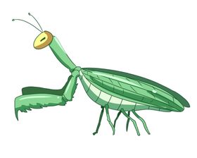 卡通手绘螳螂