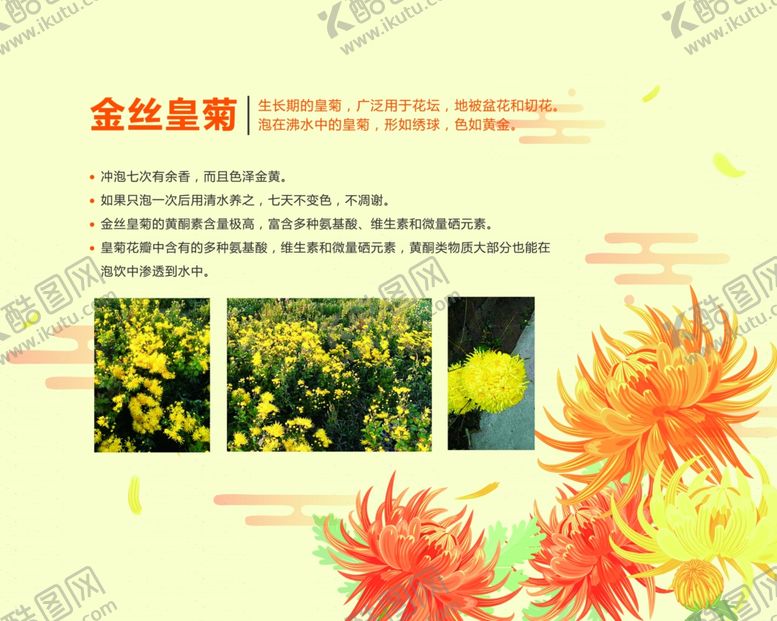 编号：63836807040014439329【酷图网】源文件下载-金丝皇菊