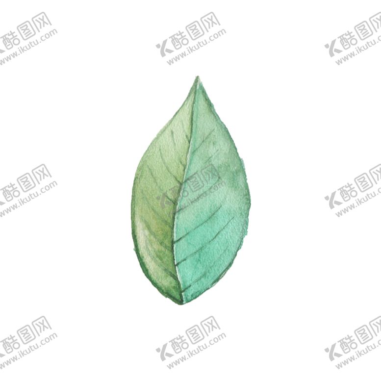 编号：53880202150927188398【酷图网】源文件下载-手绘植物枝叶