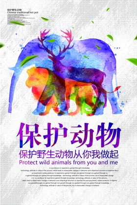 保护野生动物