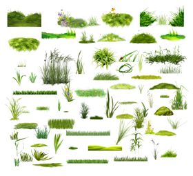 草小草