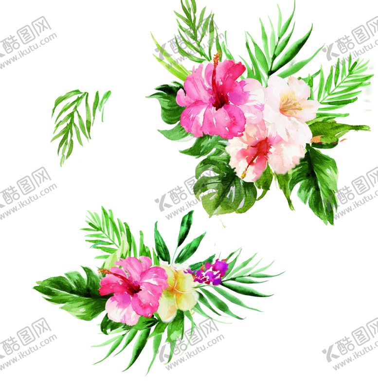 编号：23120709201538435949【酷图网】源文件下载-手绘插画图热带植物